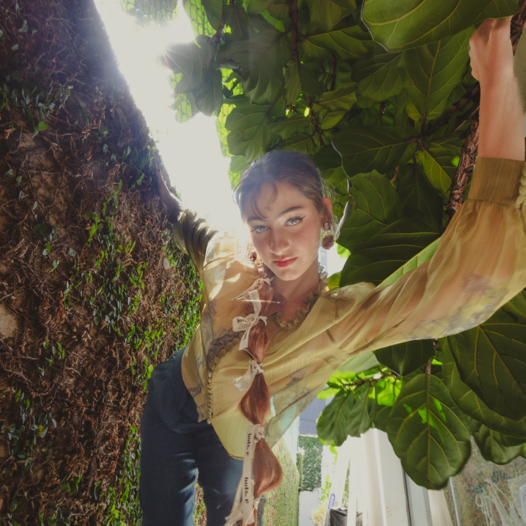 photographer dr photographer dr